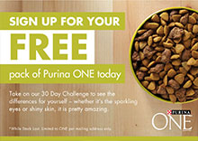 Make A Visible Difference To Your Pet’s Well-Being