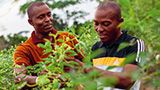 Managing Rural Development