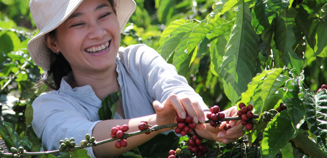Female coffee farmer