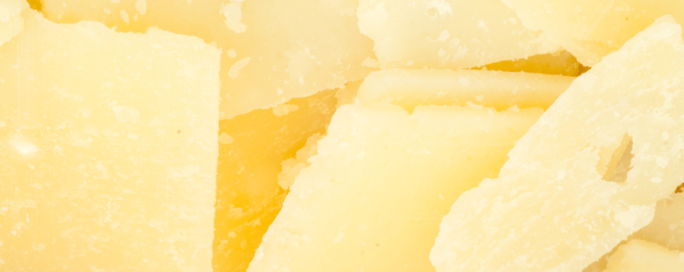 cheese-banner