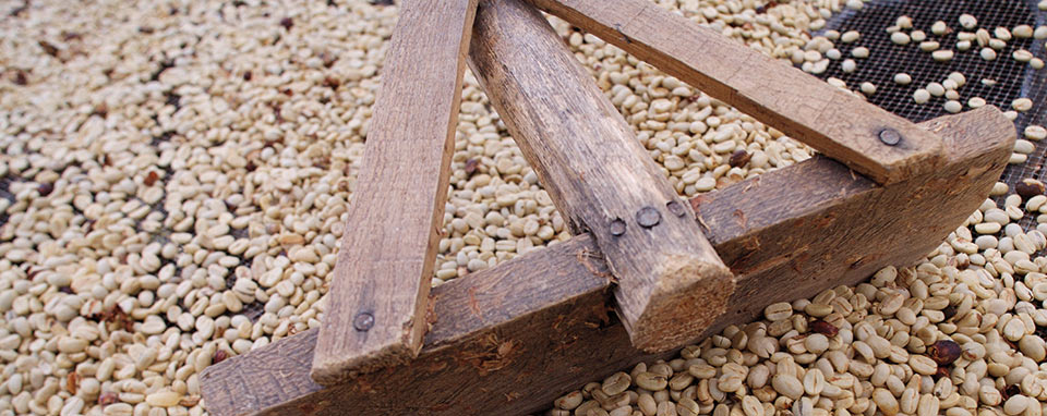 south-sudan-coffee-banner