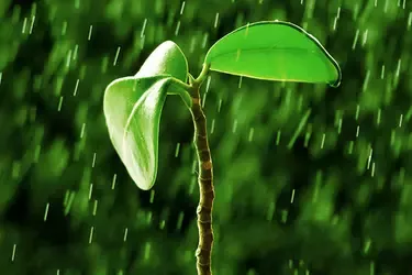vietnam-farmers-banner