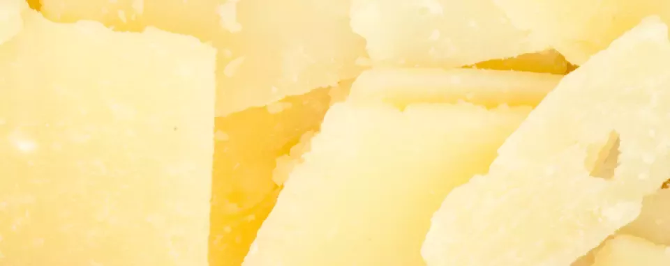 cheese-banner