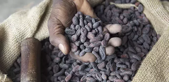 KitKat makes global pledge to use only sustainably sourced cocoa
